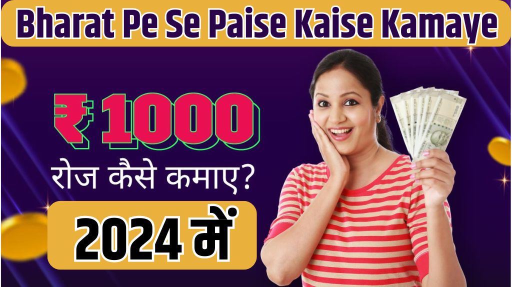 Bharat Pe Se Paise Kaise Kamaye