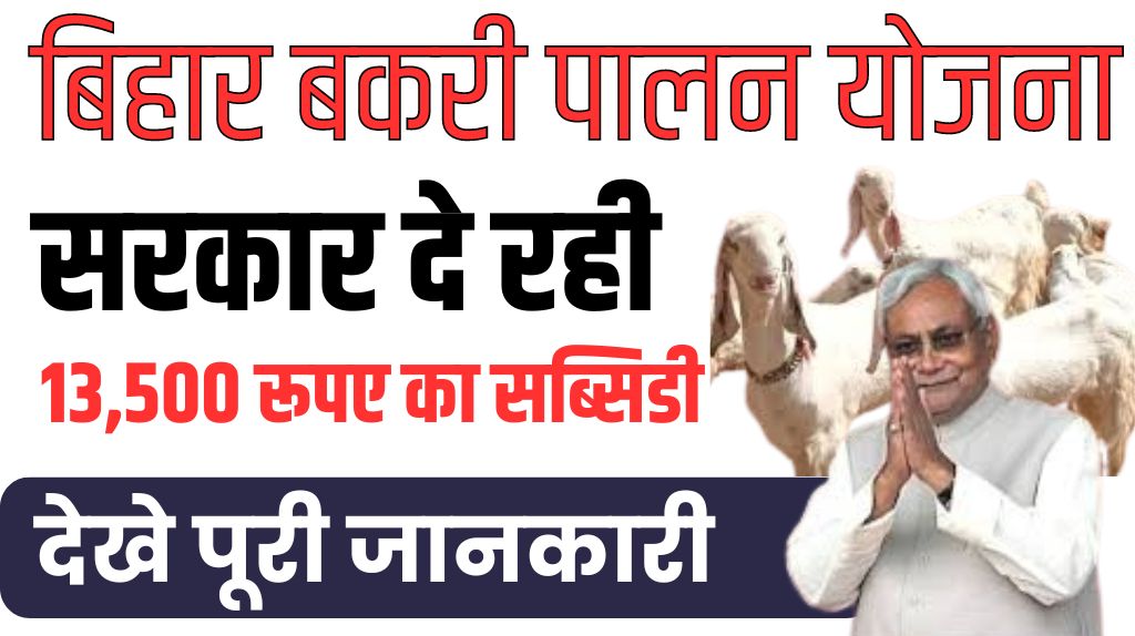 Bihar Bakri Palan Yojana 2024