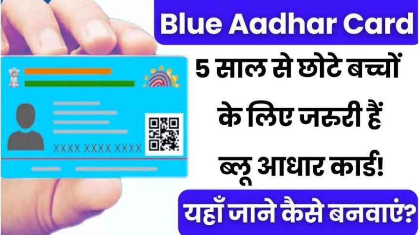 Blue Aadhar Card