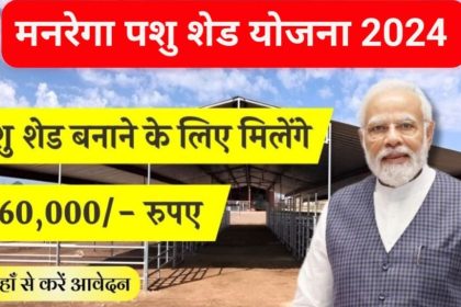 Mgnrega Pashu Shed Yojana 2024