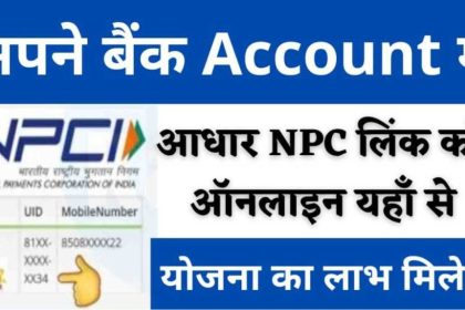 NPCI Link To Bank Account