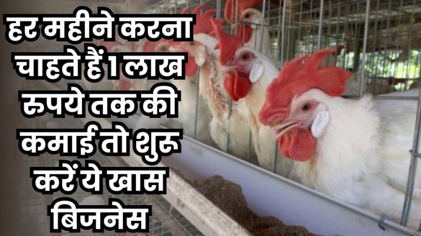 Poultry Farm Business Plan In Hindi