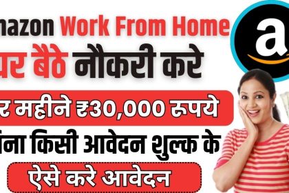 Amazon Work From Home Job 2024