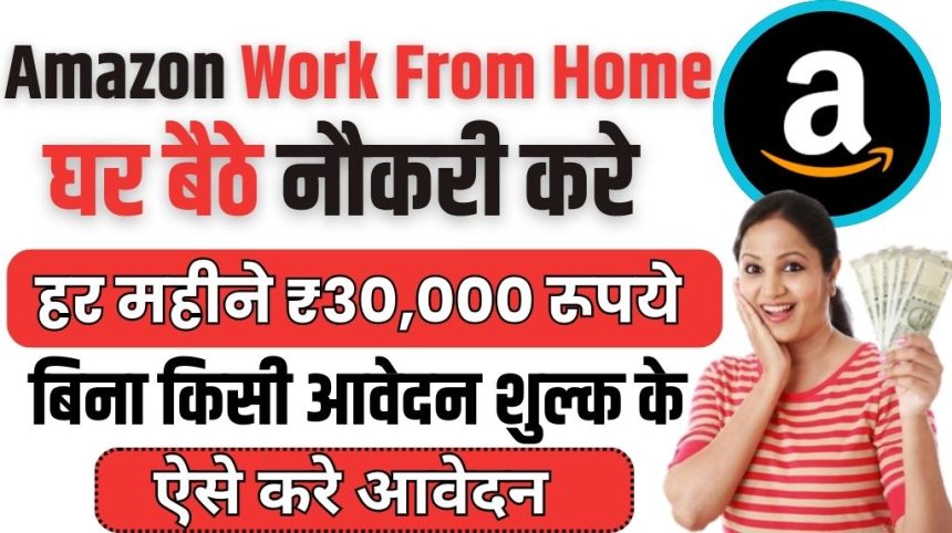 Amazon Work From Home Job 2024