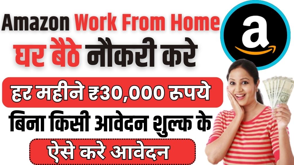 Amazon Work From Home Job 2024