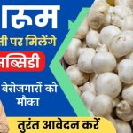 Mushroom Farming Subsidy Yojana 2024