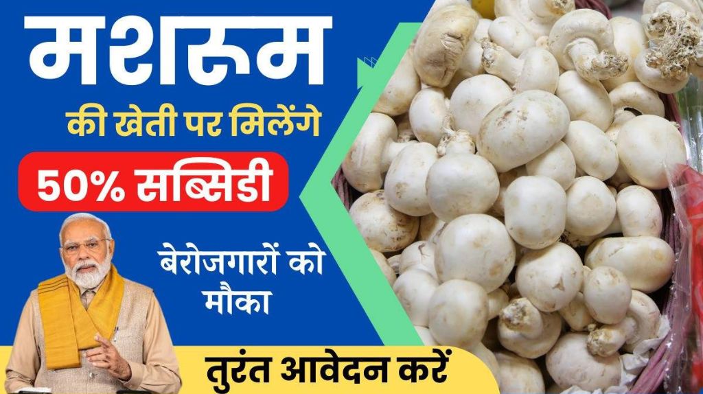 Mushroom Farming Subsidy Yojana 2024
