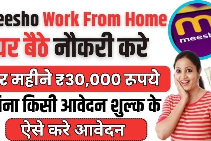 Meesho Work From Home 2024