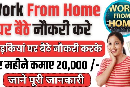 Work From Home Job 2024