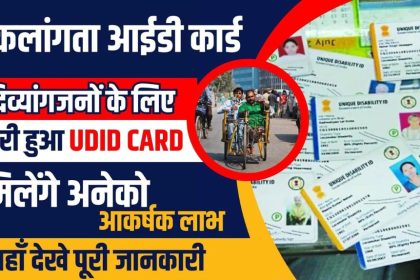 UDID Card Online Apply 2024