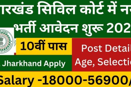 Civil Court Group D Bharti 2024