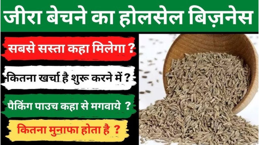 Cumin Farming Business Idea