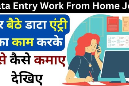 Data Entry Work From Home Job