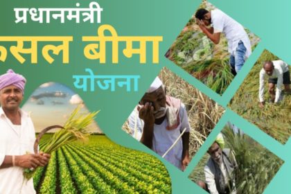 Fasal Bima Yojana