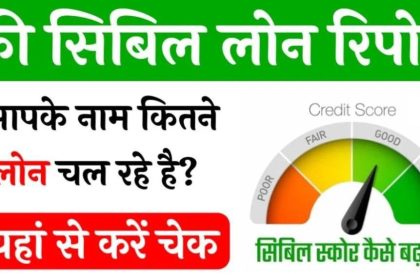 Free Cibil Loan Report