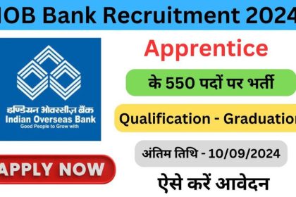 IOB Bank Recruitment 2024