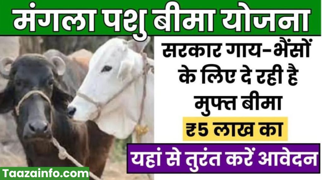 Mangla Pashu Bima Yojana 2024