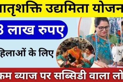 Matrushakti Udyamita Yojana