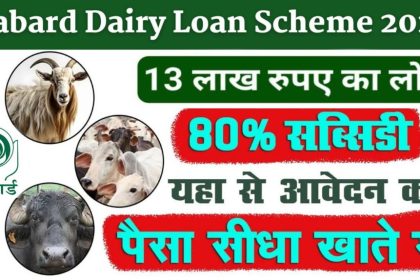 Nabard Dairy Loan Yojana 2024