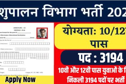 Pashupalan Vibhag Vacancy 2024