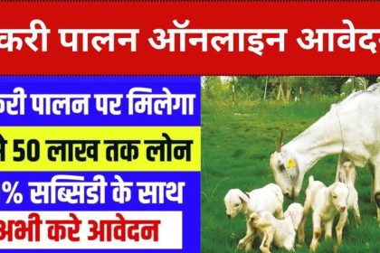 Bakri Palan Loan Yojana 2024