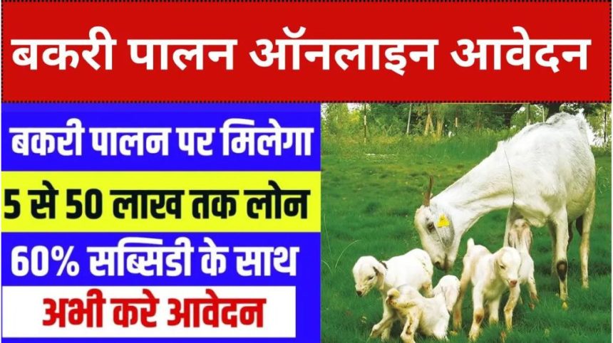 Bakri Palan Loan Yojana 2024