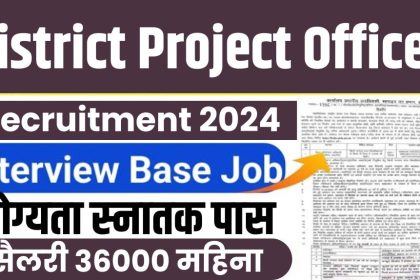 District Project Officer Vacancy 2024
