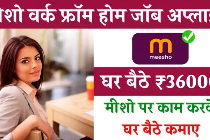 Meesho Work From Home Job