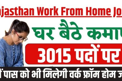 Rajasthan Work From Home Jobs 2024