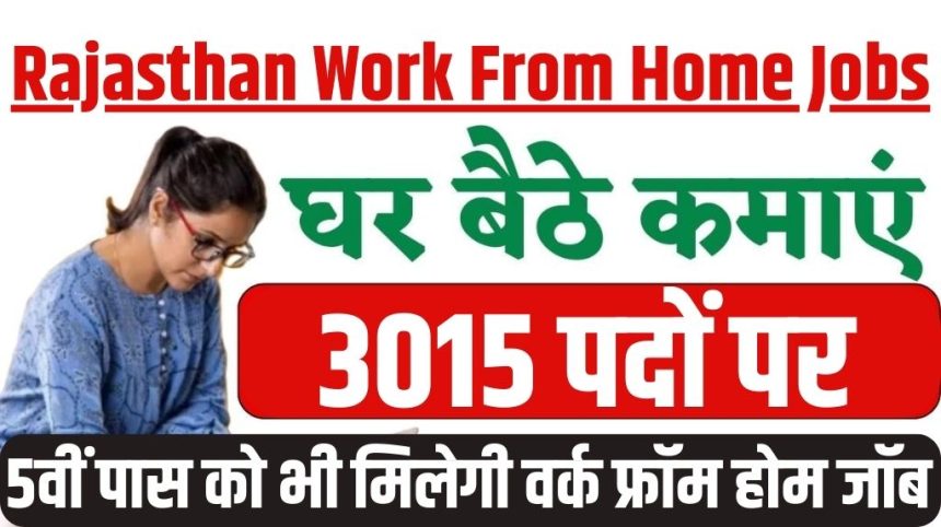 Rajasthan Work From Home Jobs 2024