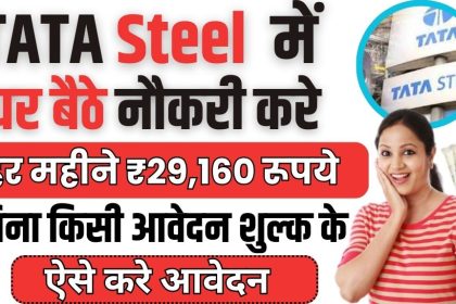 TATA Steel Online Work From Home Job