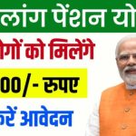 Viklang Pension Yojana 2024