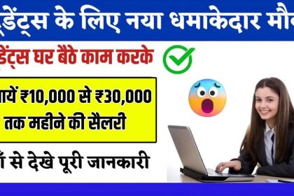 Work From Home Jobs For Students
