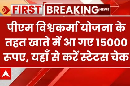 PM Vishwakarma Yojana Payment Status
