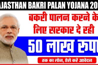 Rajasthan Bakri Palan Yojana 2024