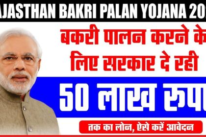 Rajasthan Bakri Palan Yojana 2024